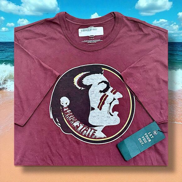 Blank Franklin Other - SOLDNWT Vintage Florida State Seminoles Football Blank Franklin Cotton Tee(D3) L
